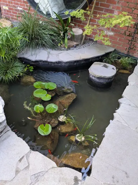 Melbourne Ponds and Gardens cover
