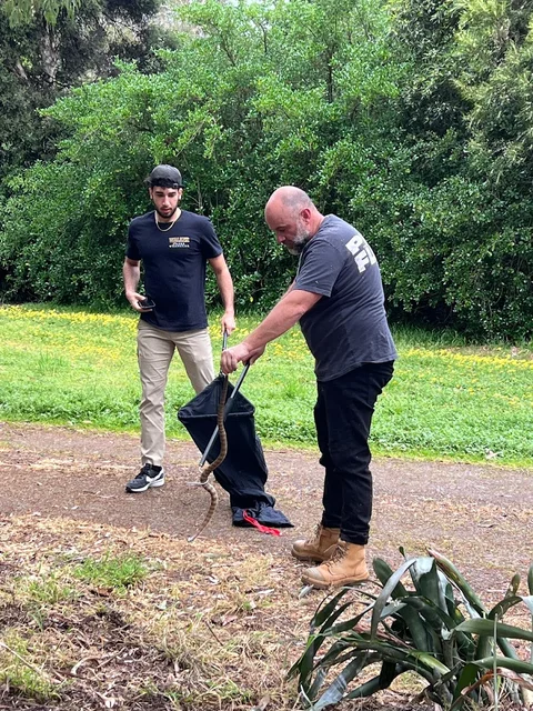 Melbourne snake control