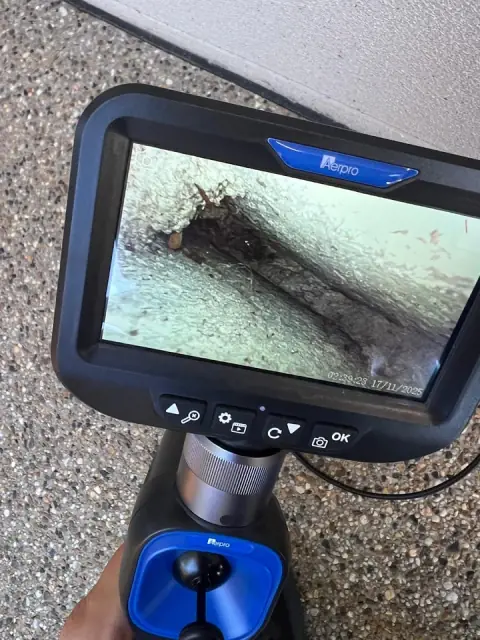 Melbuzz™ Pest Control Melbourne