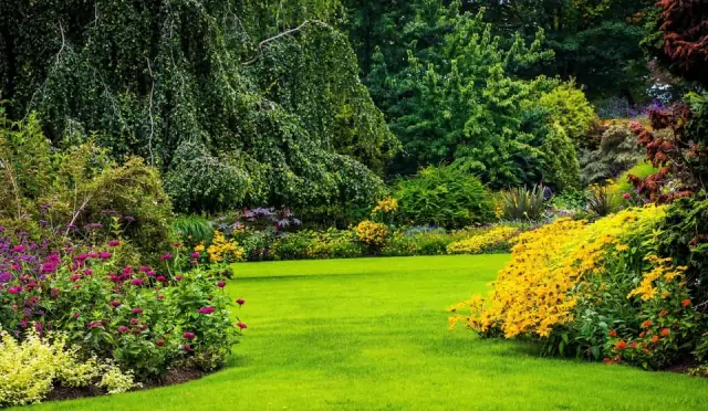 MG Landscaping
