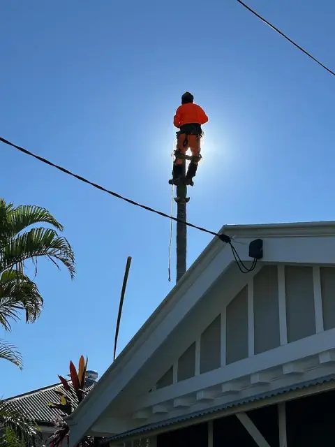 Michaels Tree Services