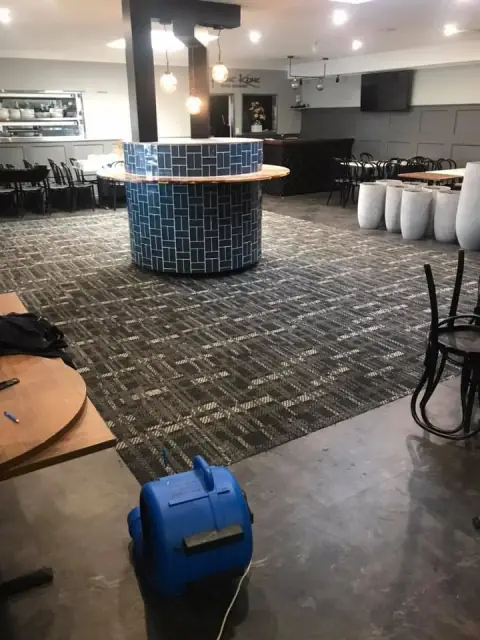 Mid Coast Carpet Cleaning and Pest Control cover