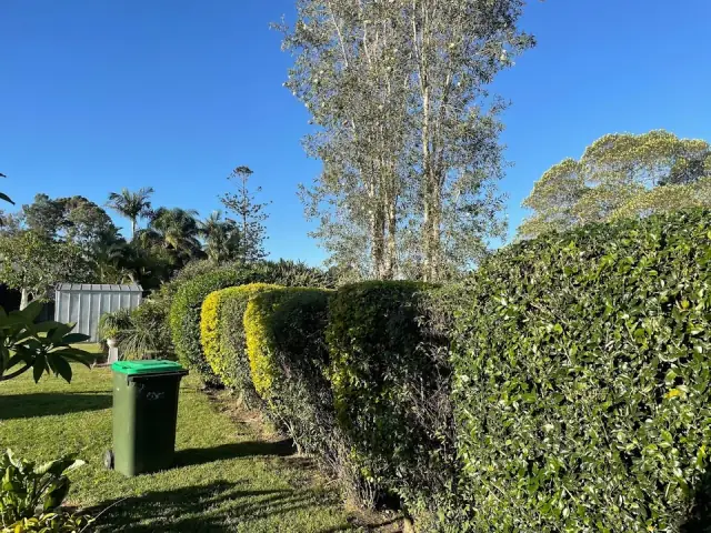 MidCoast Yard Services cover