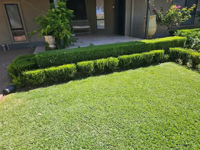 Mildura lawns and garden cover