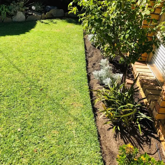 Millar Gardens cover