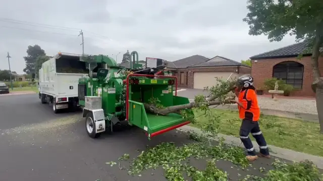 Milone's Tree Solutions cover