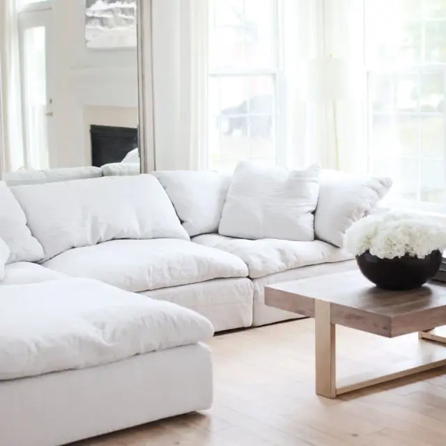 Mindful Team Cleaners cover
