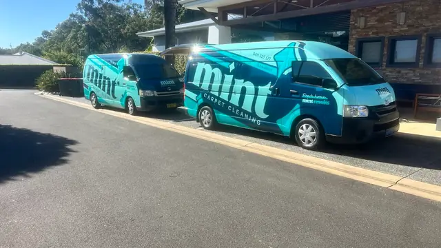 Mint Carpet Cleaning cover