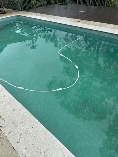 Miss Dolphin Pool Inspections