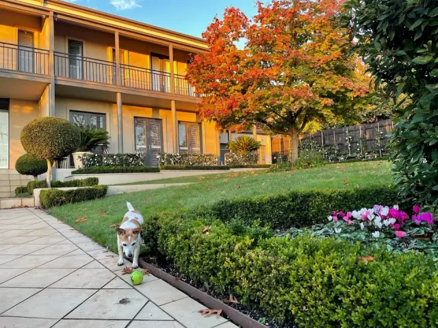 MJ Landscaping & Gardening