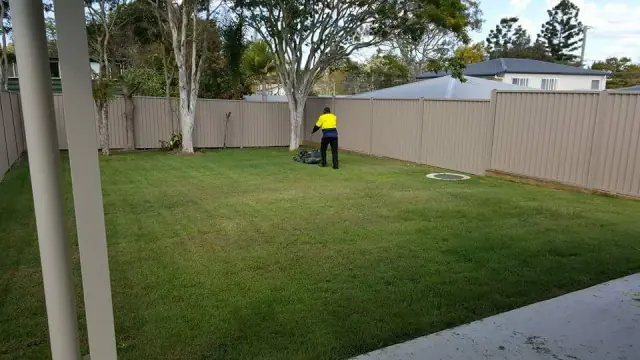 MMI Domestic Services inc Lawn Mowing Services, NDIS Reg Providers