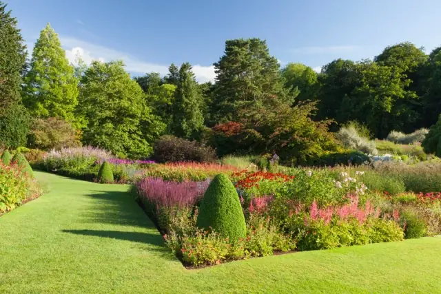 Modern Hedge