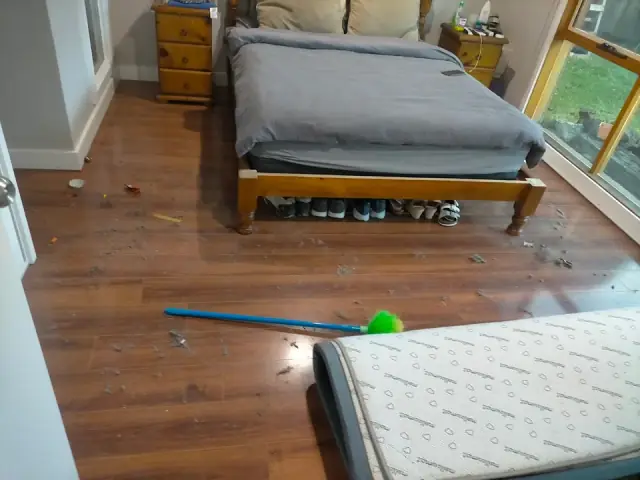 Monkey Cleaning Connections