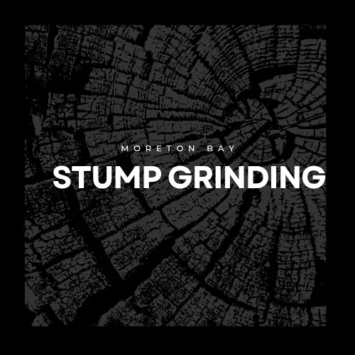Moreton Bay Stump Grinding
