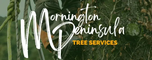 Mornington Peninsula Tree Removal Service cover