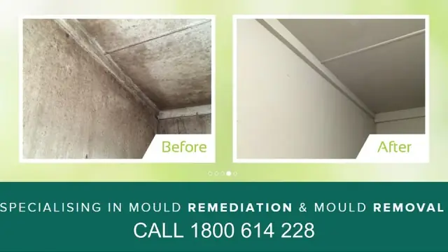 Mould Cleaning Australia cover