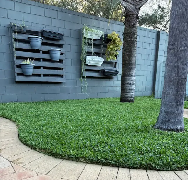 Mows & Hoes Lawn & Garden Care