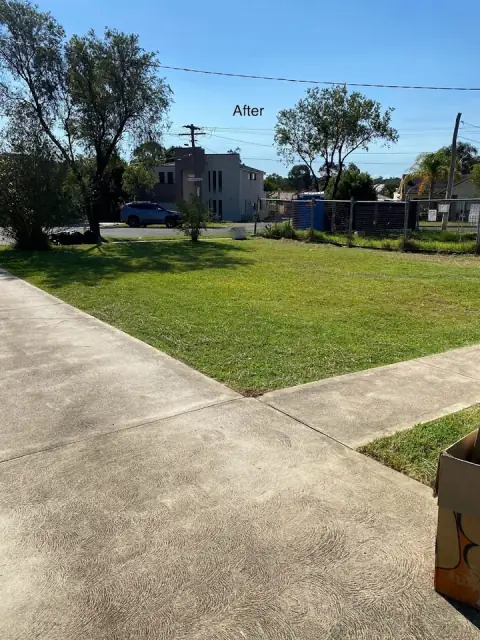 Mr Lawn Man cover