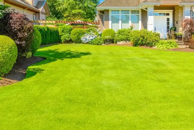 Mr Lawn Man cover
