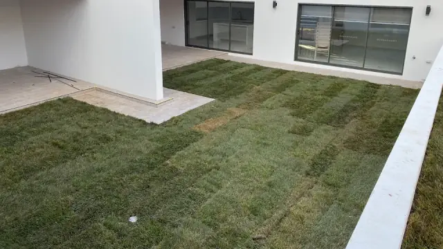 Mr Singh services(Nursery & landscape services) cover