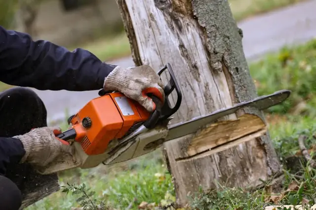 Mr Stumpy Tree and Stump Removal cover