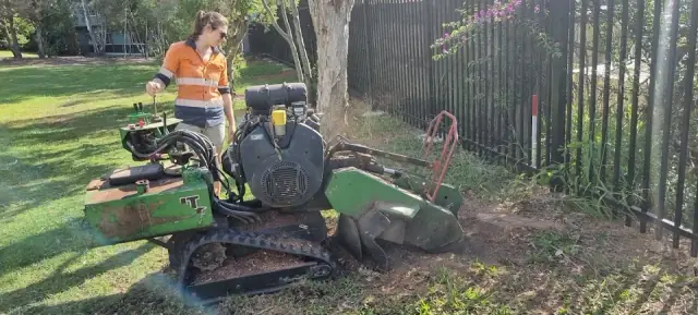 Murphy's Stump Grinding cover