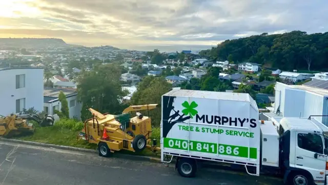Murphy’s Tree & Stump Service Pty Ltd