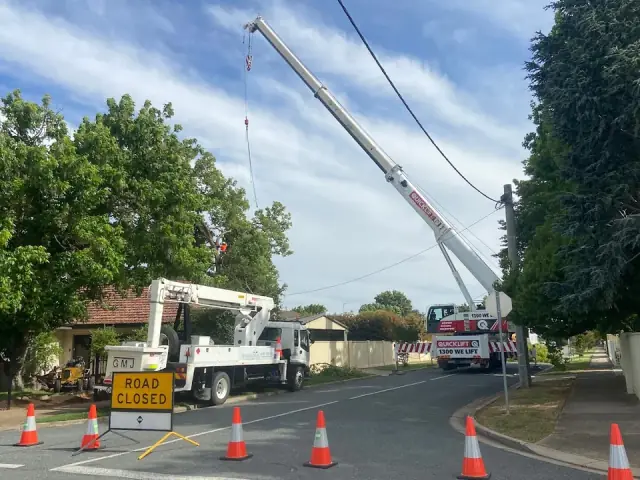 Murray River Tree Services