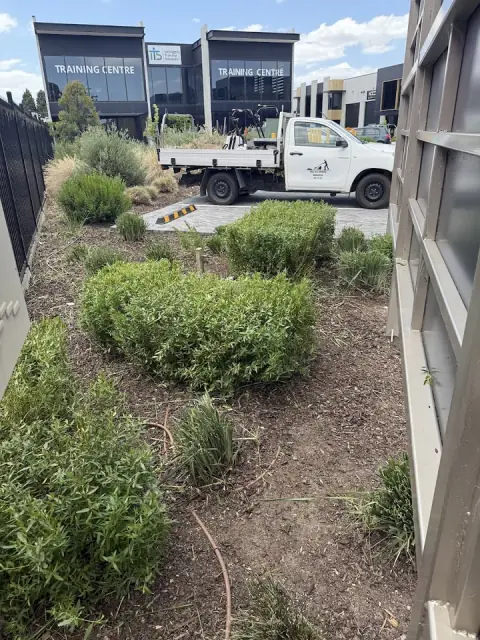 Murray’s Mowing Melbourne