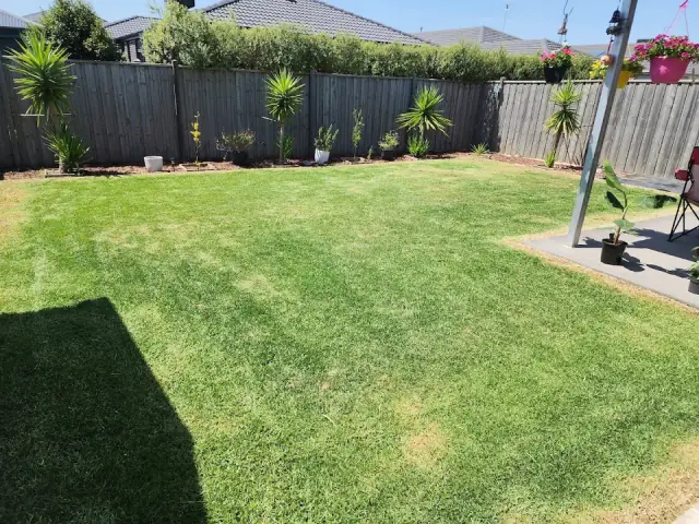 My Lawn And Landscape