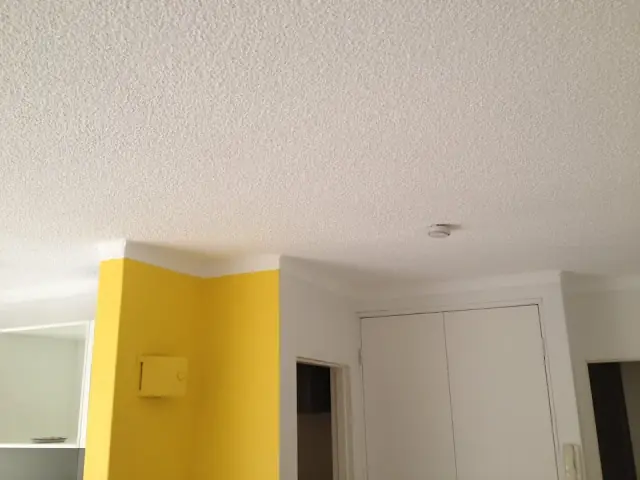 mypainter.com.au Pty Ltd