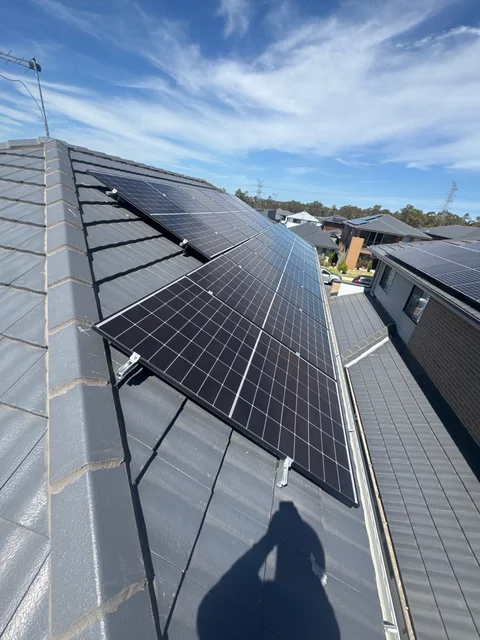 Native Solar cover