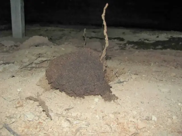 Nature Fresh Termite Management cover