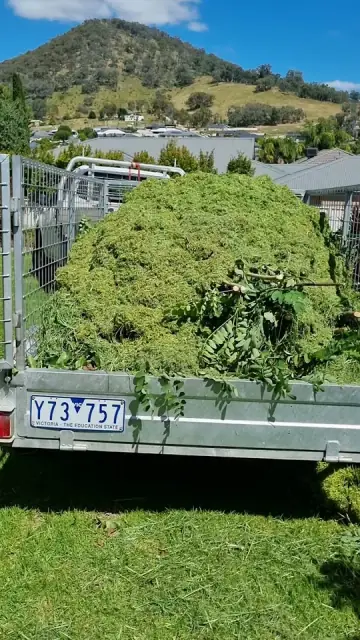 Neat n Even Mowing cover