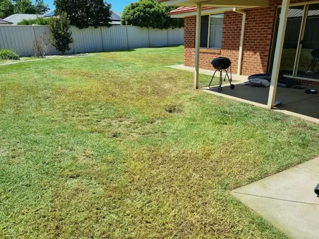 Neat n Even Mowing