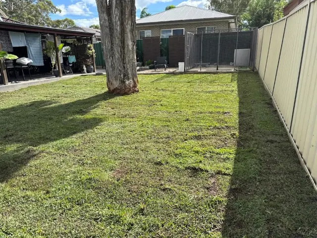 Nepean Lawn Restorations