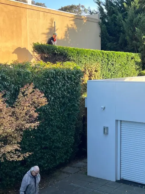 Nev’s Gardening cover