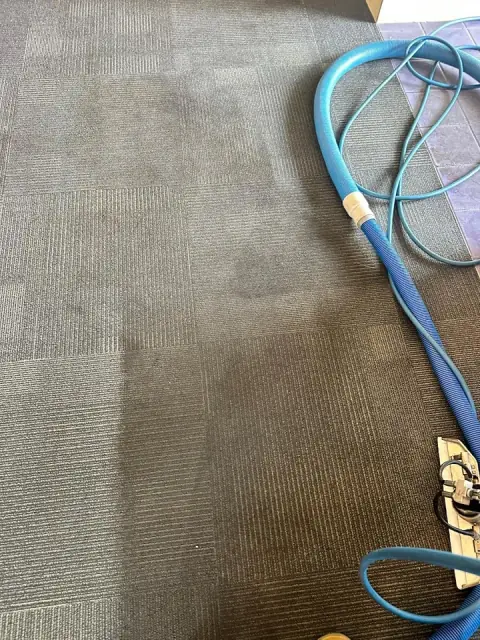 Newcastle Carpet & Tile Cleaning cover