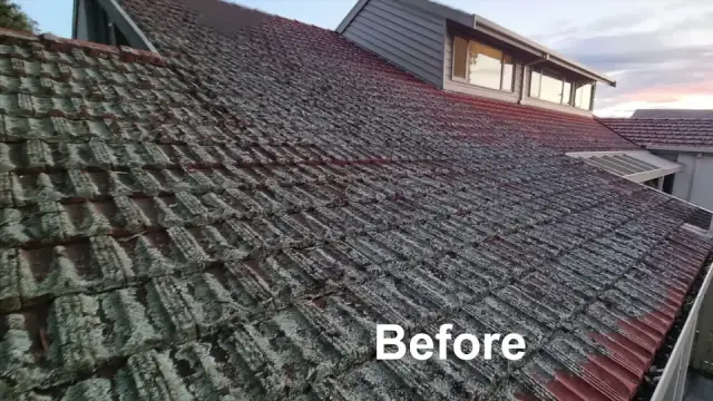 Newshine Pressure Cleaning cover