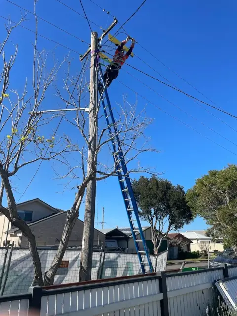 NewSpark Electrical Solutions cover