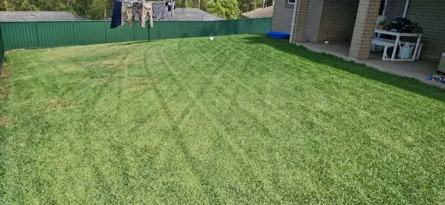 Newy Yard Maintenance