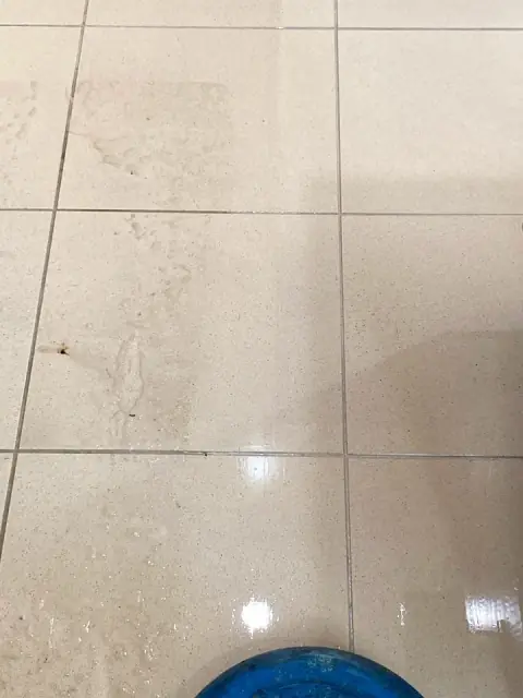 Next Gen Floor Care cover