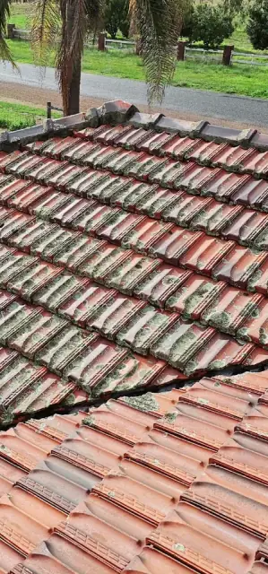 Noble Roof Restoration & Repairs cover