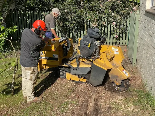 Normy's Tree Felling and Stump Grinding