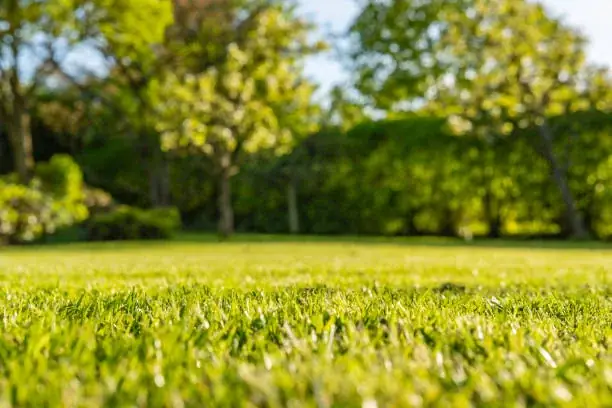 Northern Rivers Landscaping, Mowing & Gardening Company PTY LTD