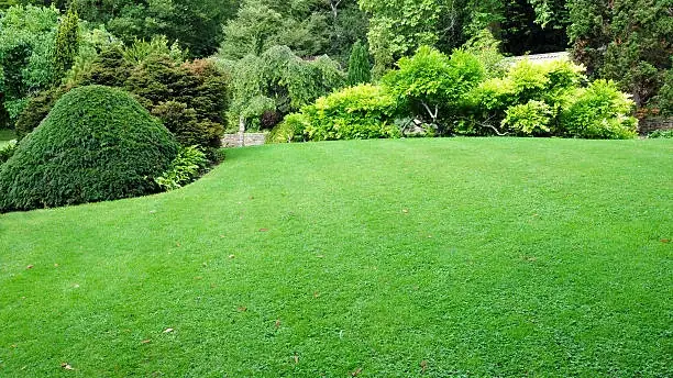 Northern Rivers Landscaping, Mowing & Gardening Company PTY LTD cover