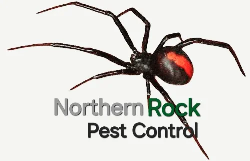 Northern Rock Pest Control