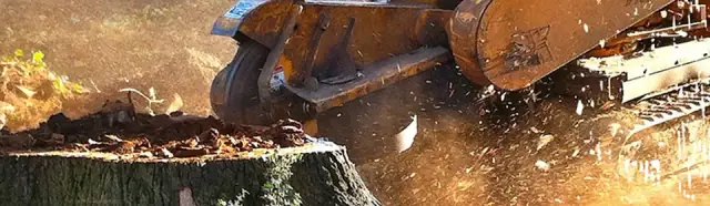 Northside Stump Grinding