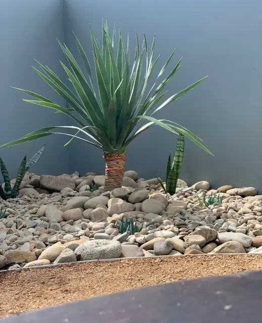 Nuview Landscape and Design cover