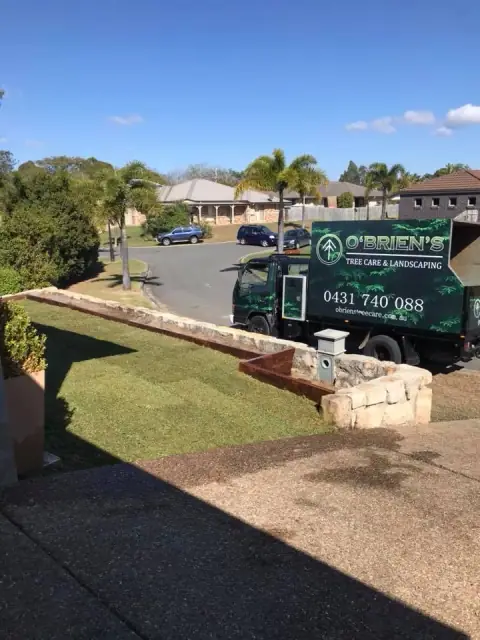O'Brien's Tree Care and Landscaping